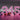 Custom Neon Signs Personalized LED Neon Light Designs